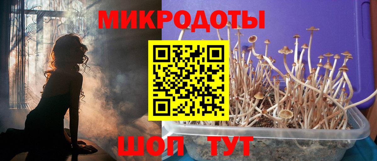Галлюциногенные грибы GOLDEN TEACHER  Галлюциногенные грибы ЛСД  Десногорск  Вход с VPN 